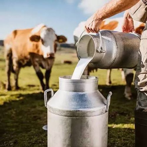 Dairy Products