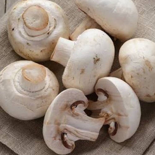 Eggs/Mushrooms